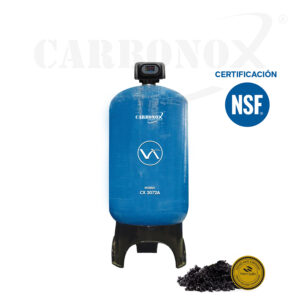 Filtro Premium Serie CarbonOx® 2472: Operación Automática que Retiene Materia Orgánica, Inorgánica, Cloro, Mal Olor y Sabor. (copia)